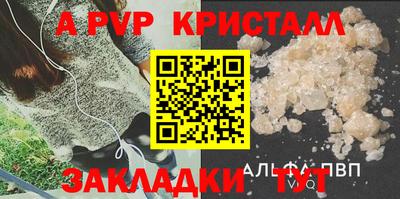 шишки Дубна