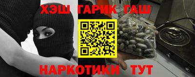 шишки Дубна