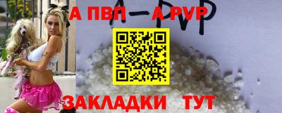 шишки Дубна