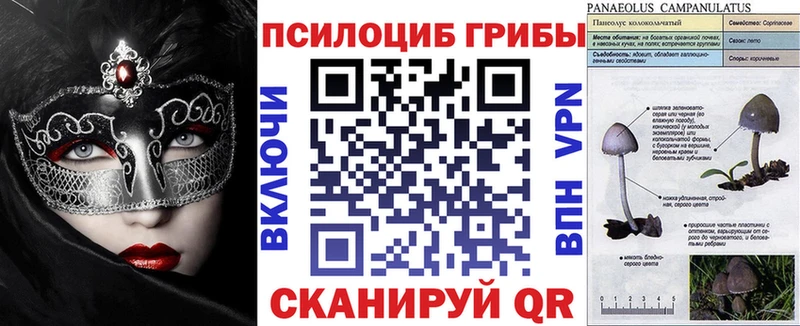 Псилоцибиновые грибы GOLDEN TEACHER  MEGA рабочий сайт  Мирный 