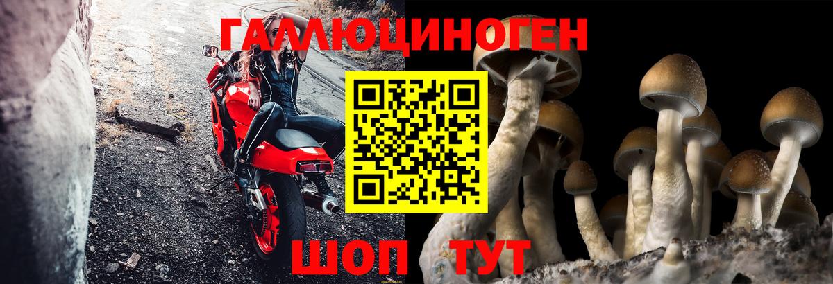 Мирный  Галлюциногенные грибы мухоморы  Вход с VPN 
